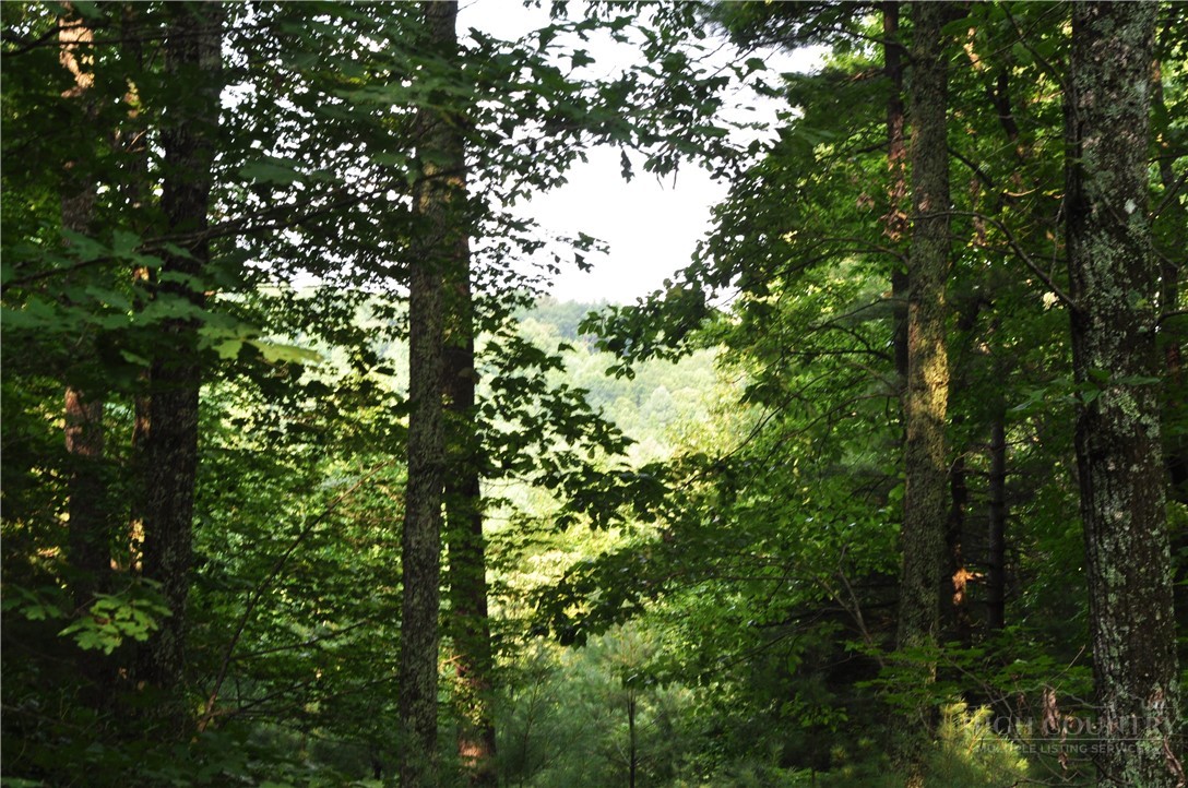 Tbd Highland Laurel Lane Property Photo 3
