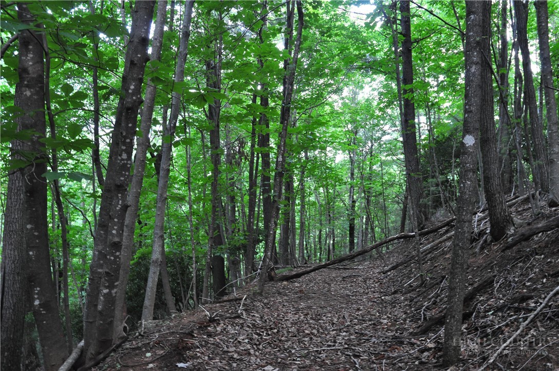 Tbd Highland Laurel Lane Property Photo 4