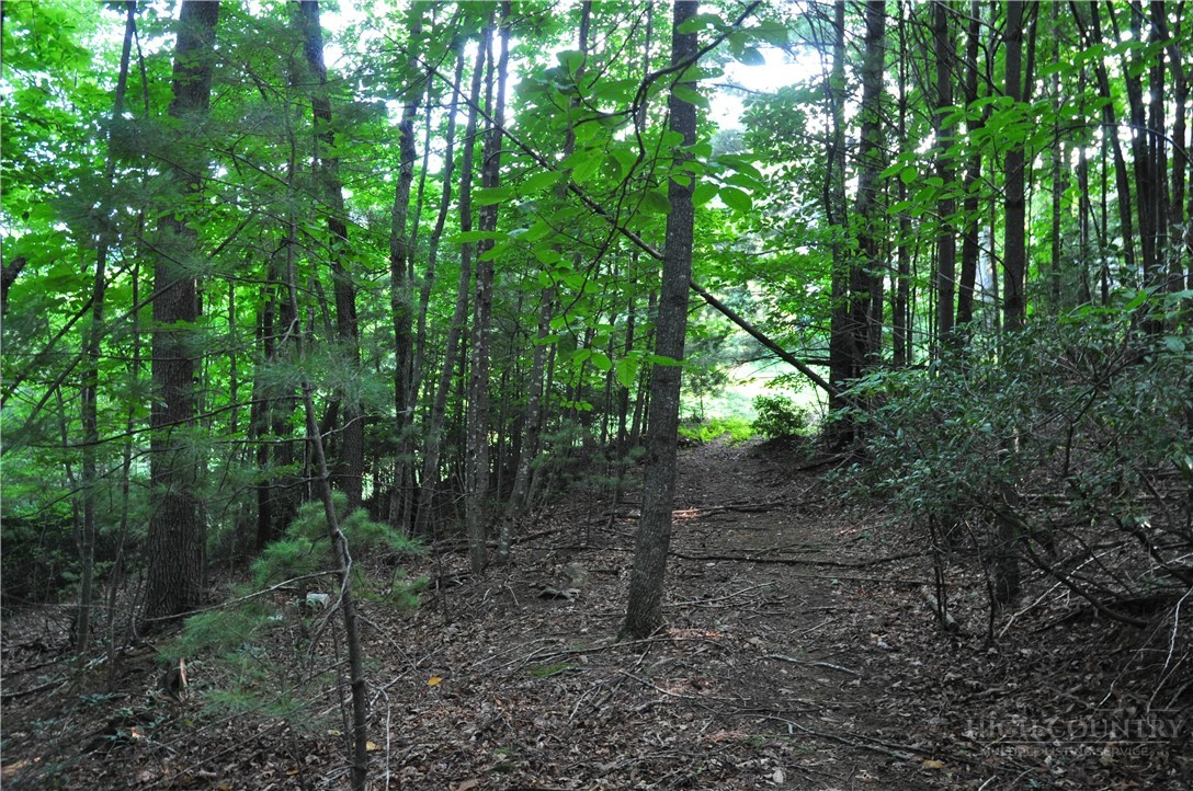 Tbd Highland Laurel Lane Property Photo 7