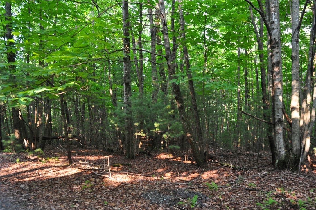 Tbd Highland Laurel Lane Property Photo 8