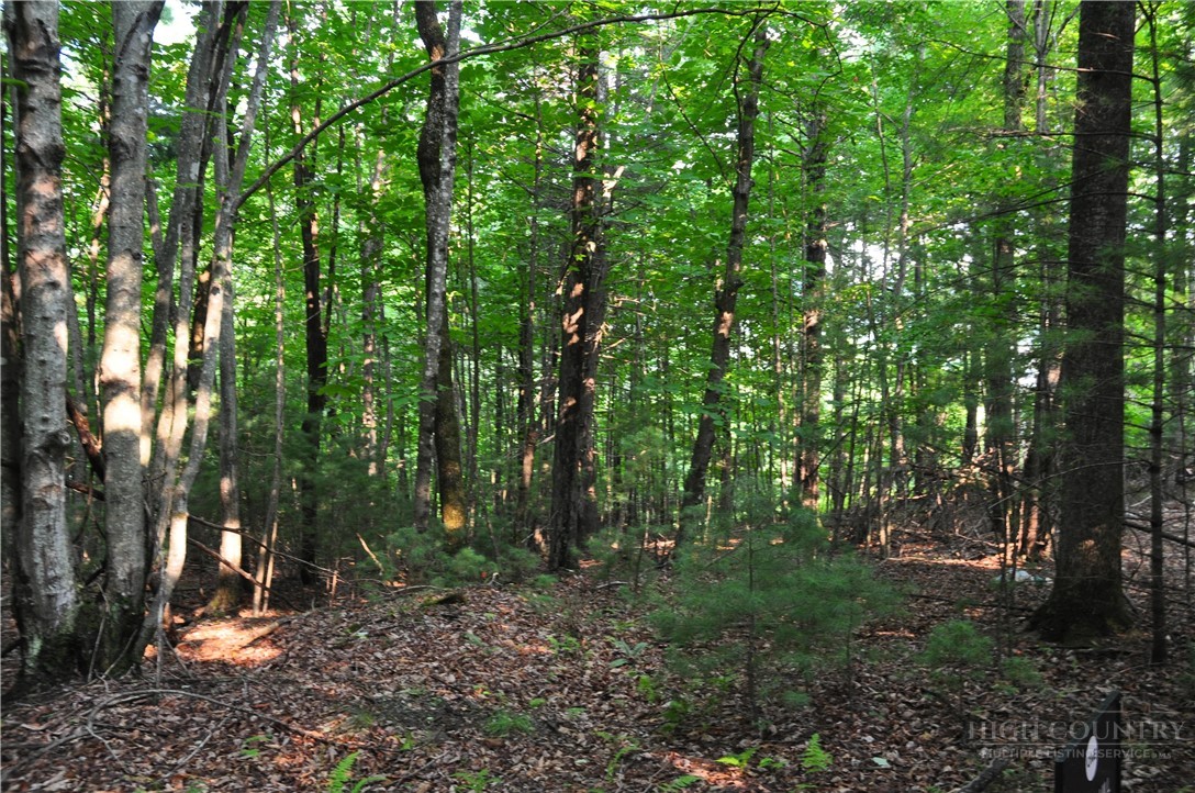 Tbd Highland Laurel Lane Property Photo 9