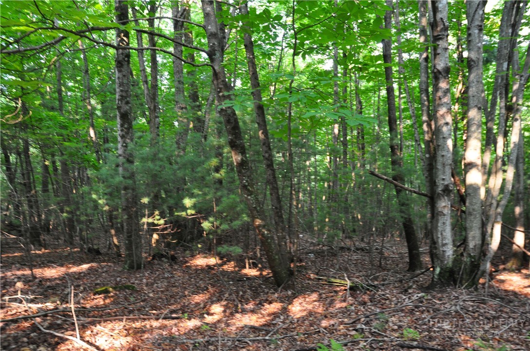 Tbd Highland Laurel Lane Property Photo 10