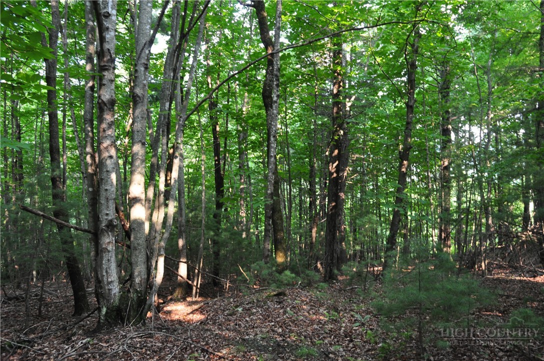 Tbd Highland Laurel Lane Property Photo 11