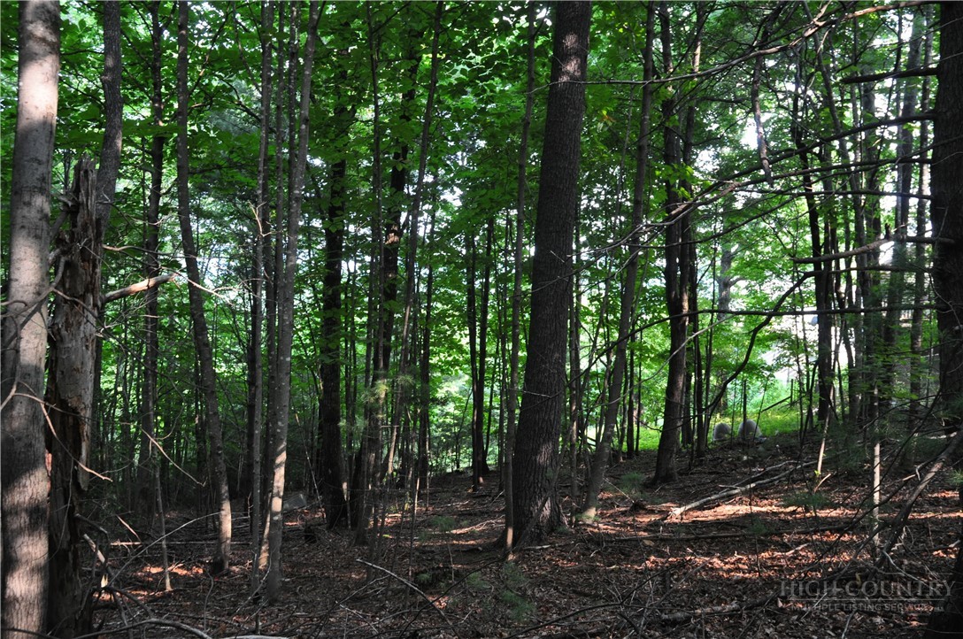 Tbd Highland Laurel Lane Property Photo 12