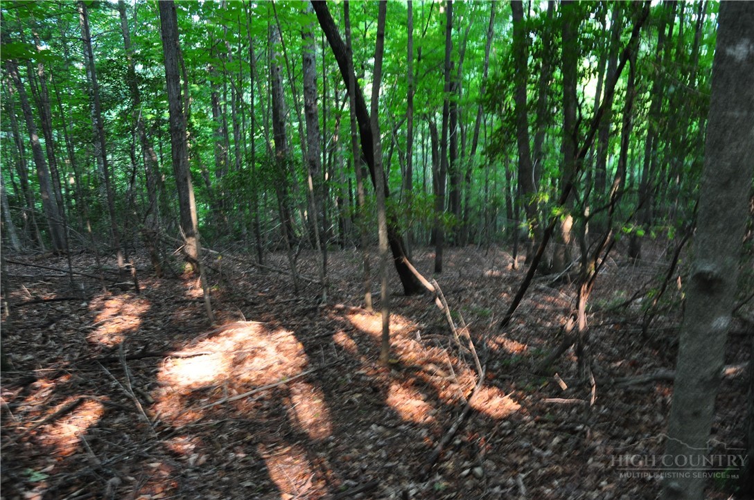 Tbd Highland Laurel Lane Property Photo 13