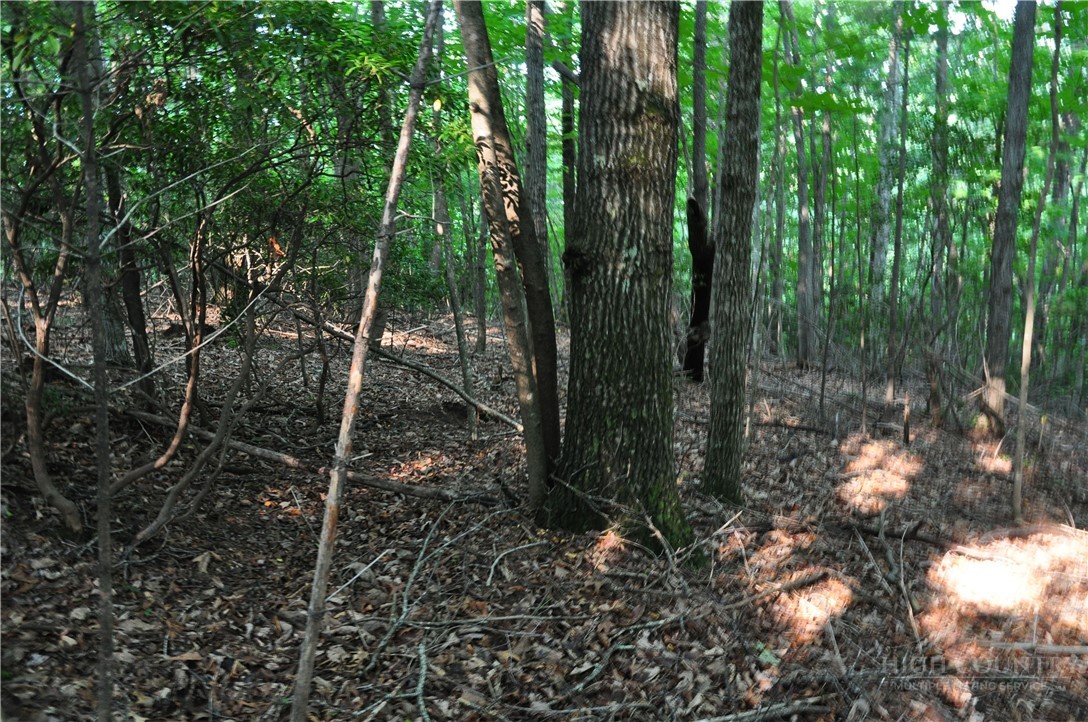 Tbd Highland Laurel Lane Property Photo 14