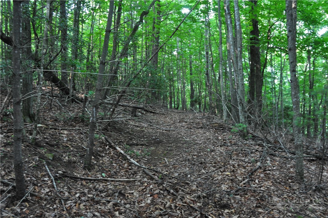 Tbd Highland Laurel Lane Property Photo 15