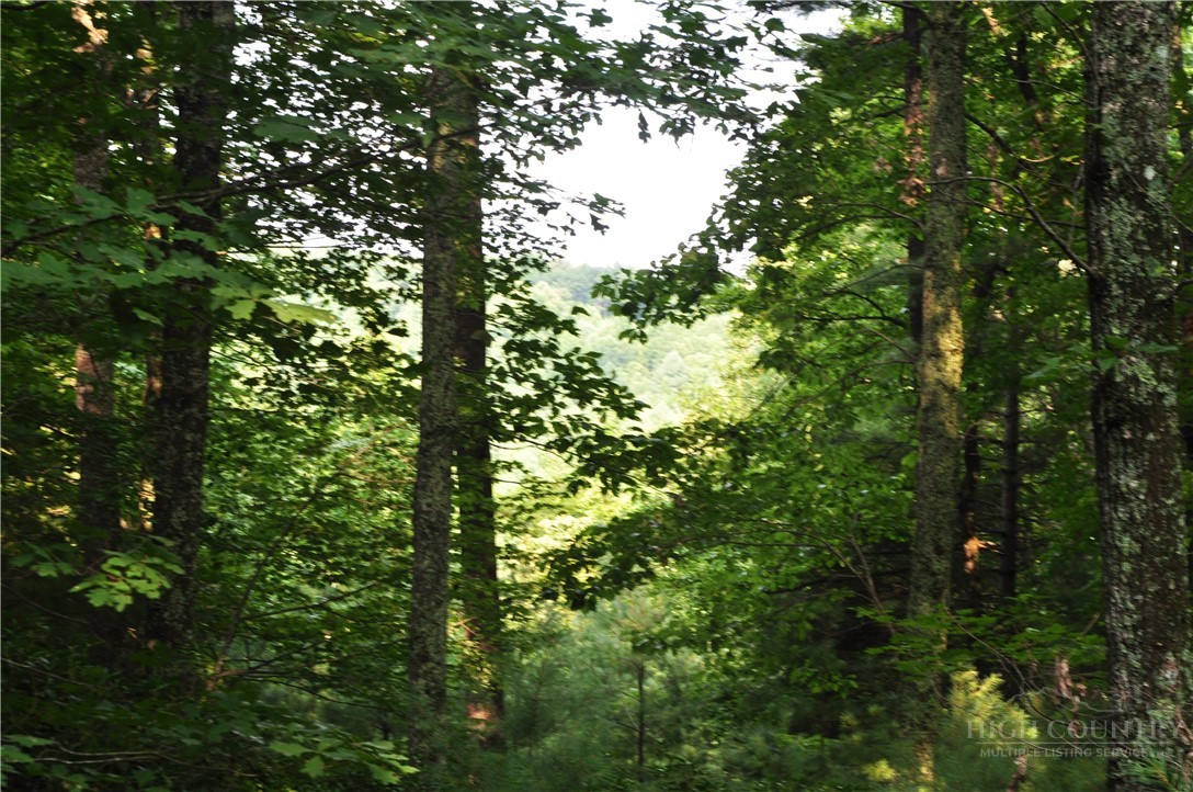 Tbd Highland Laurel Lane Property Photo 16