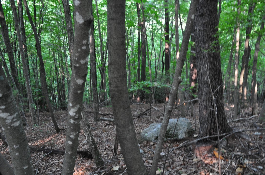 Tbd Highland Laurel Lane Property Photo 17