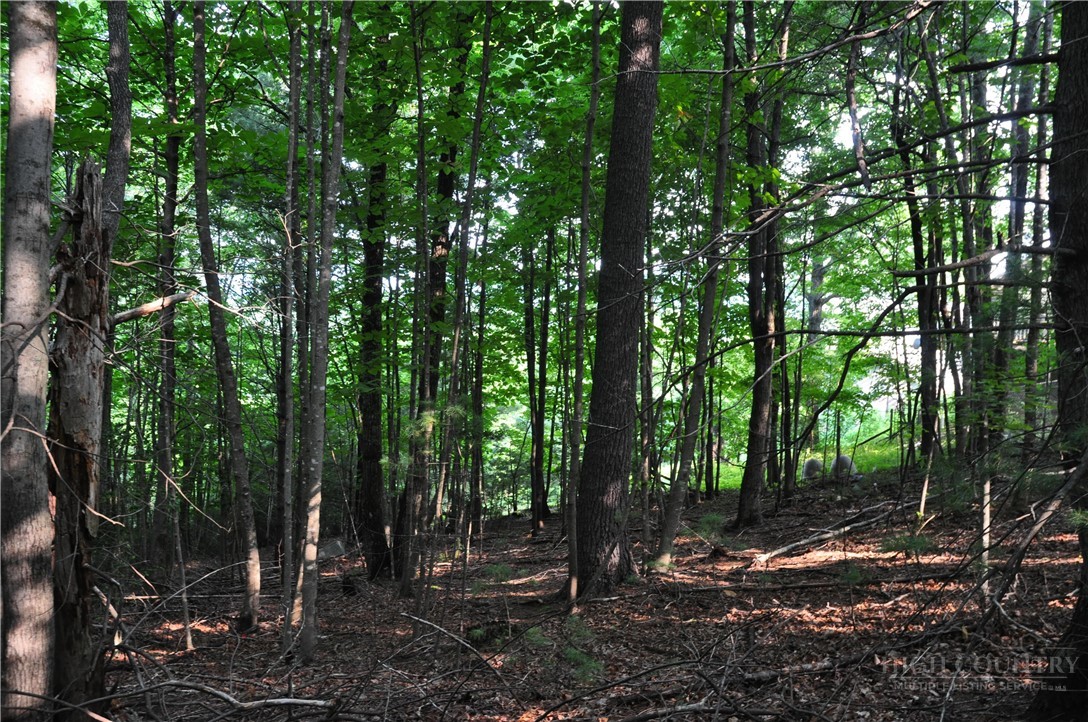 Tbd Highland Laurel Lane Property Photo 18