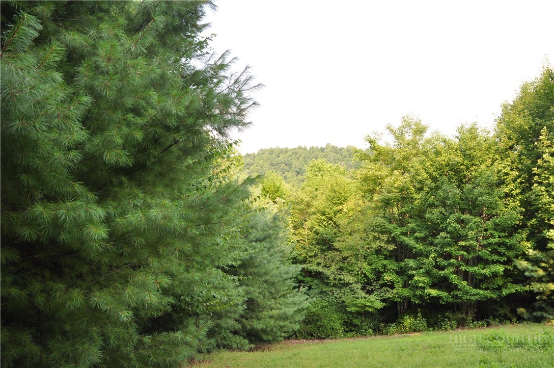 Tbd Highland Laurel Lane Property Photo 19