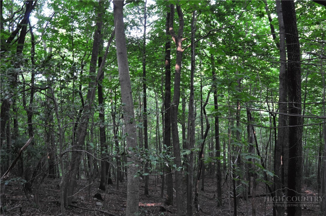 Tbd Highland Laurel Lane Property Photo 22