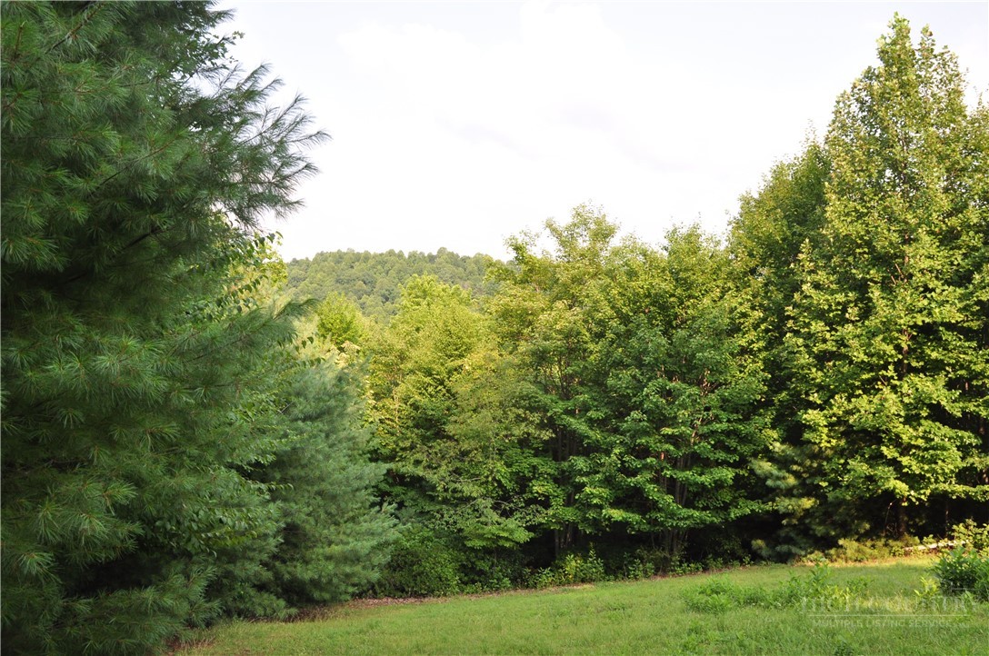 Tbd Highland Laurel Lane Property Photo 26