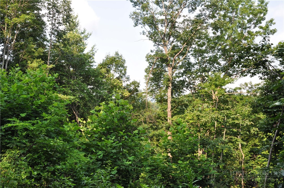 Tbd Highland Laurel Lane Property Photo 27