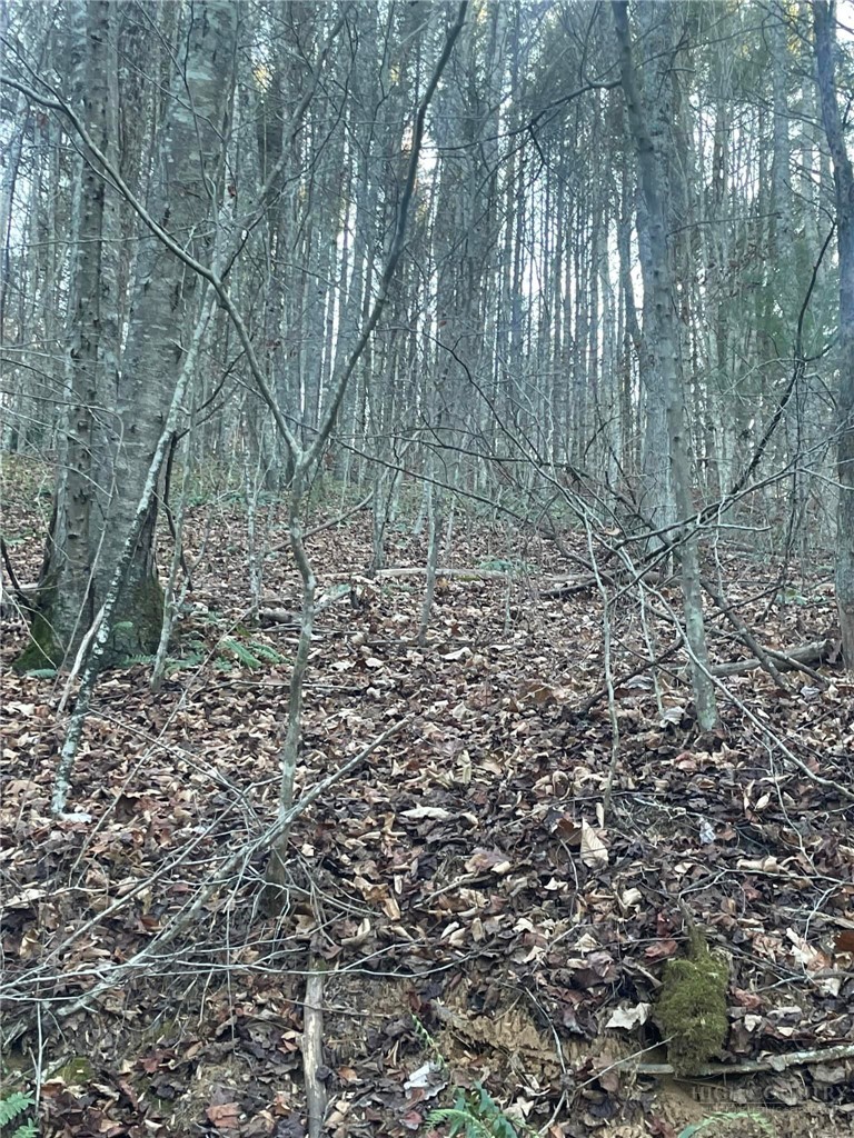Tbd Mountain Side Lane Property Photo 1