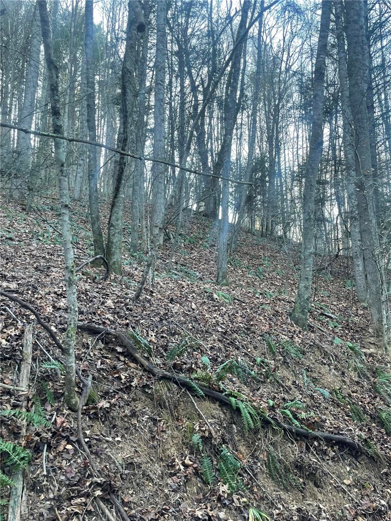 Tbd Mountain Side Lane Property Photo 2