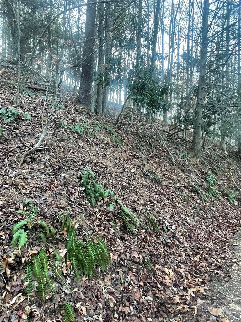Tbd Mountain Side Lane Property Photo 3