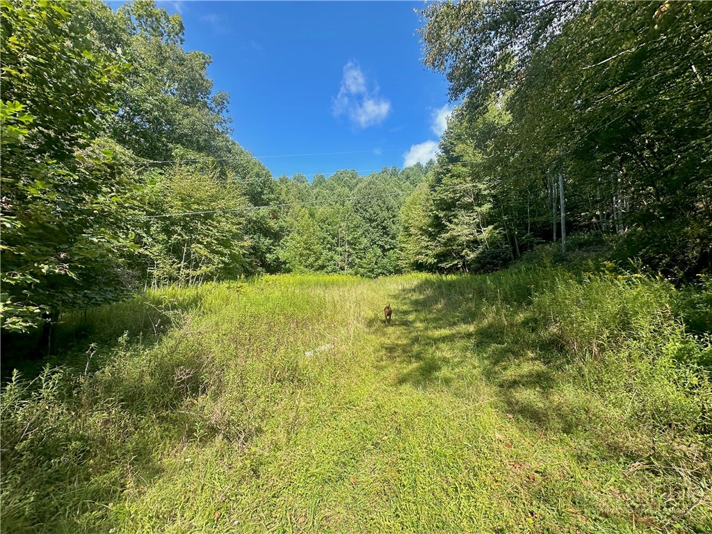 Tbd Old Anderson Quarry Road Property Photo 1