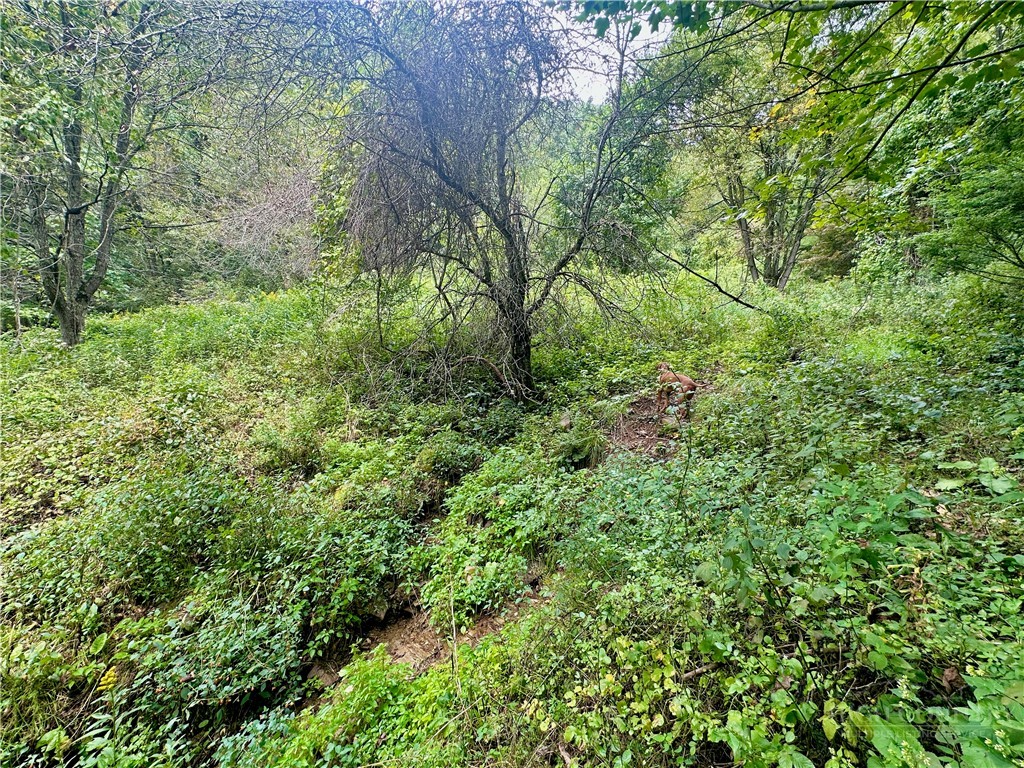 Tbd Old Anderson Quarry Road Property Photo 9