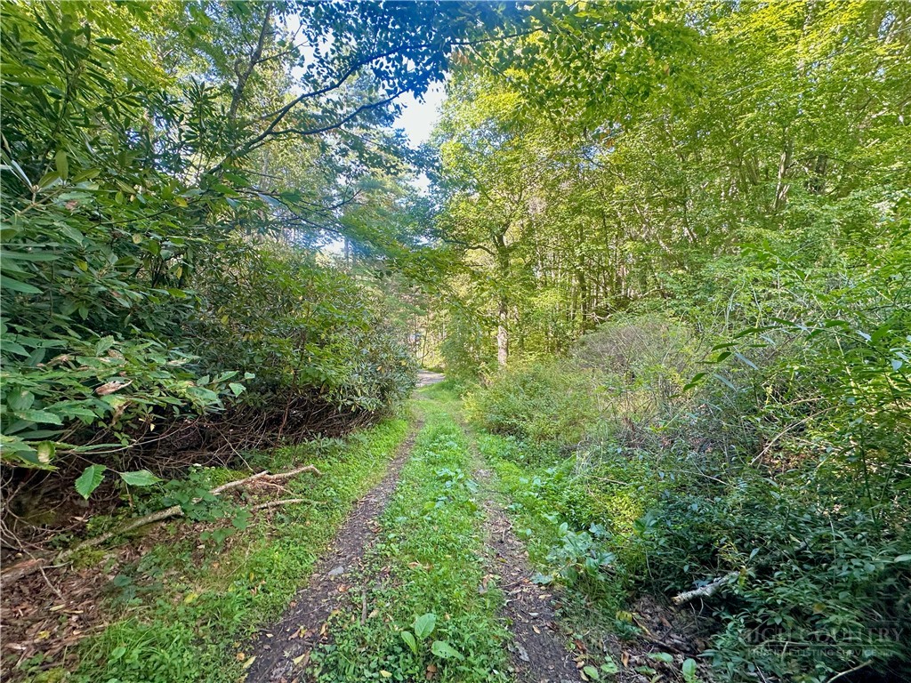 Tbd Old Anderson Quarry Road Property Photo 10