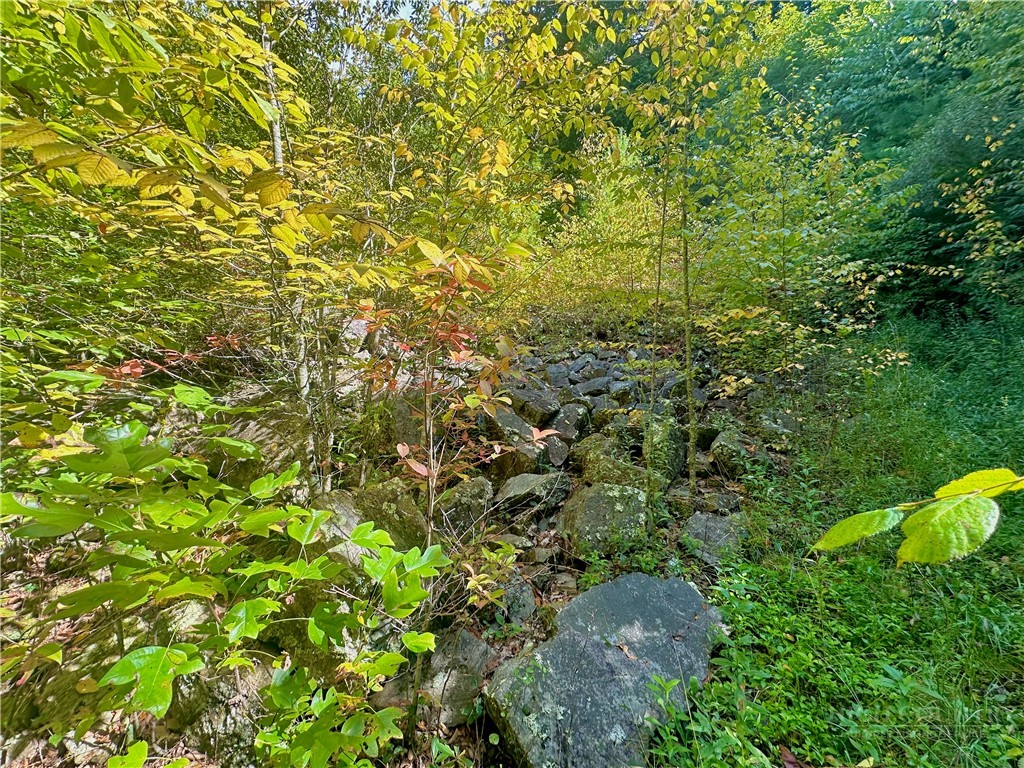 Tbd Old Anderson Quarry Road Property Photo 11