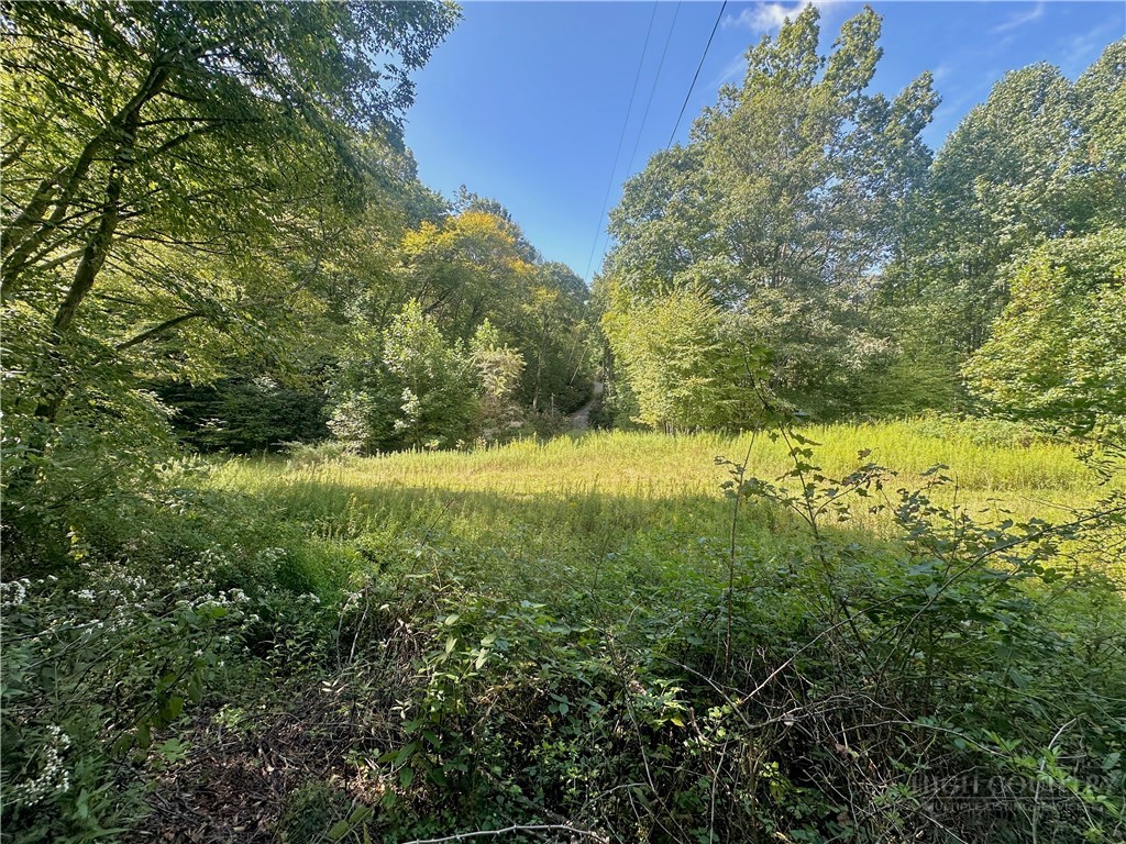 Tbd Old Anderson Quarry Road Property Photo 12