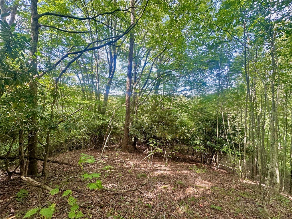 Tbd Old Anderson Quarry Road Property Photo 13