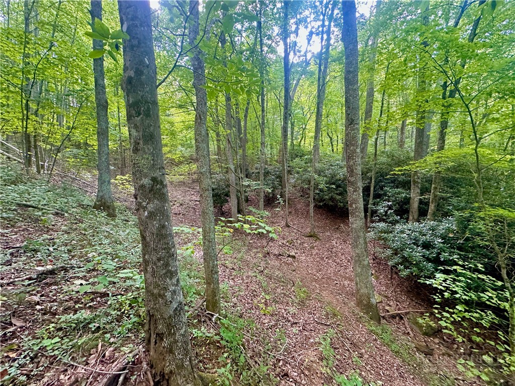 Tbd Old Anderson Quarry Road Property Photo 14