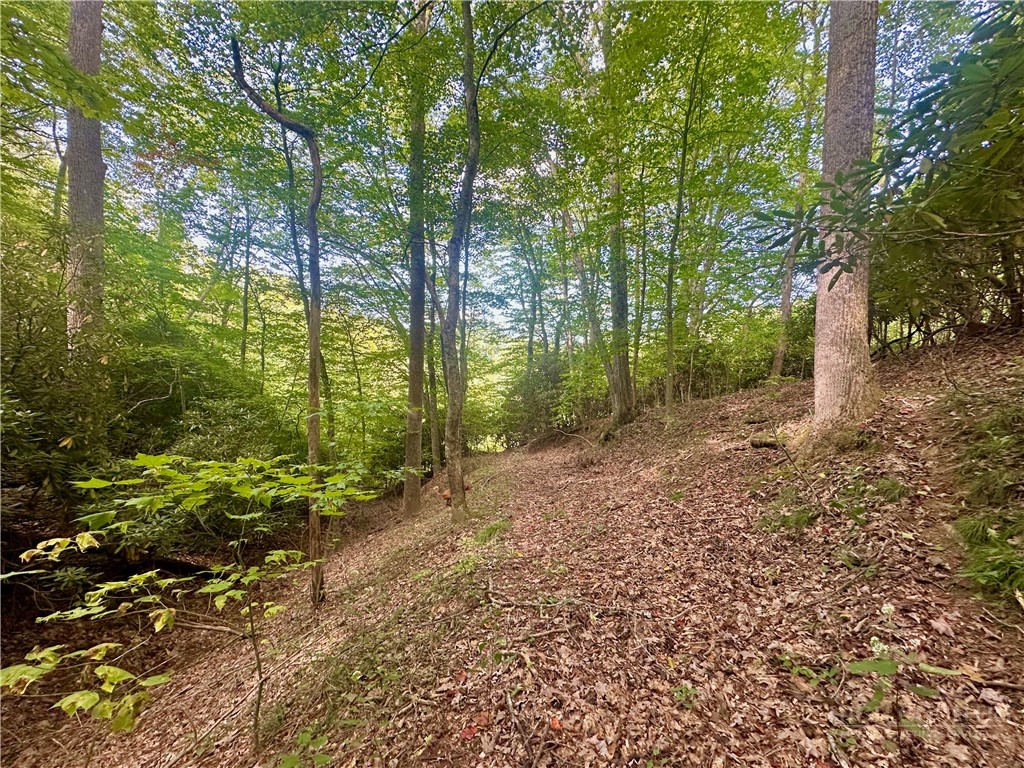 Tbd Old Anderson Quarry Road Property Photo 15