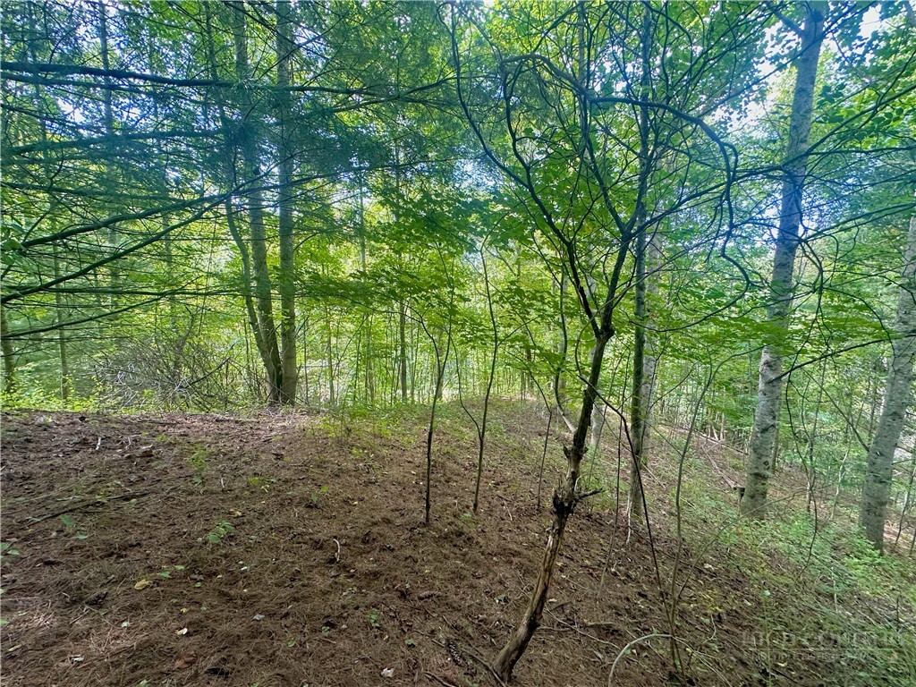 Tbd Old Anderson Quarry Road Property Photo 16