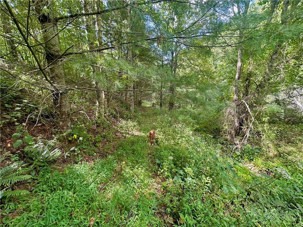 Tbd Old Anderson Quarry Road Property Photo 18