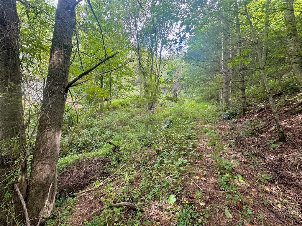 Tbd Old Anderson Quarry Road Property Photo 19