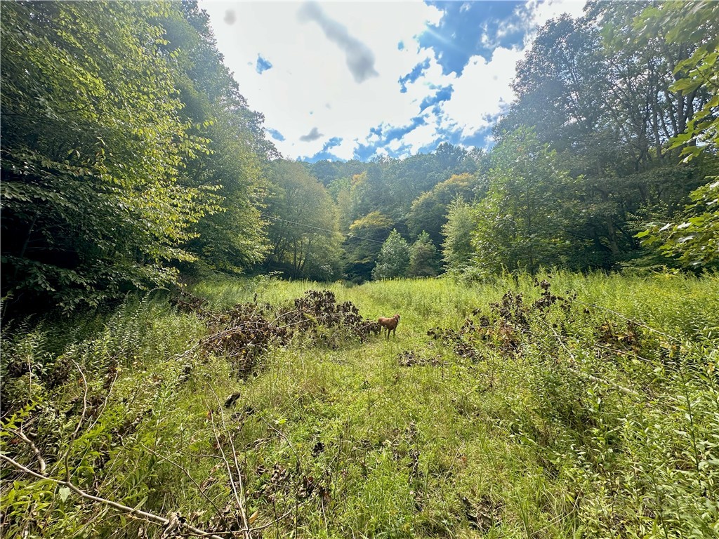 Tbd Old Anderson Quarry Road Property Photo 20