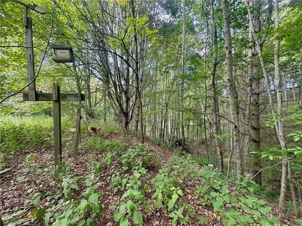 Tbd Old Anderson Quarry Road Property Photo 21