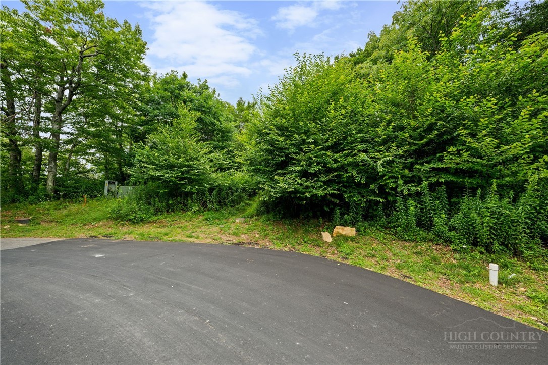 Lot 96 Cloud Spring Drive Property Photo 2