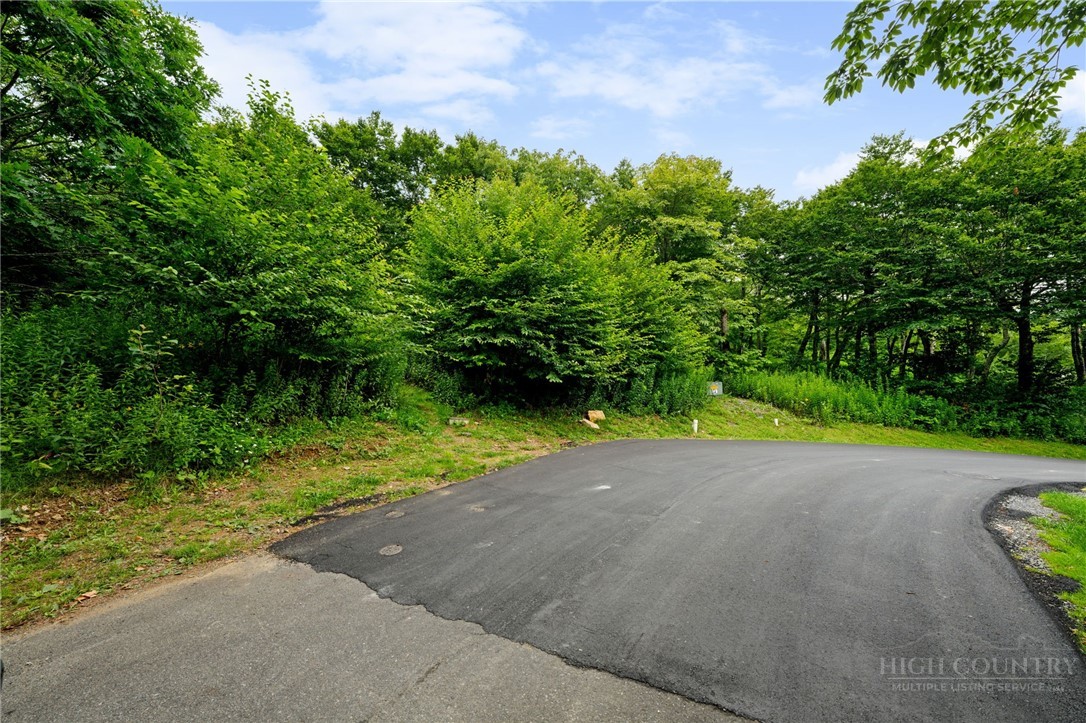 Lot 96 Cloud Spring Drive Property Photo 3