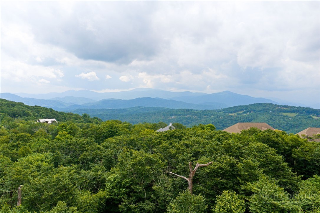 Lot 96 Cloud Spring Drive Property Photo 4
