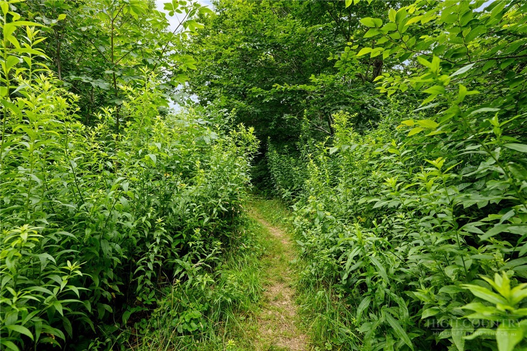 Lot 96 Cloud Spring Drive Property Photo 5