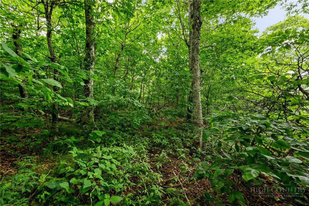 Lot 96 Cloud Spring Drive Property Photo 6