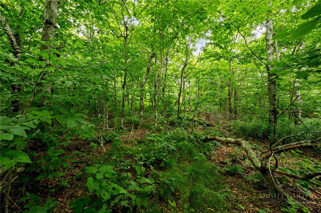 Lot 96 Cloud Spring Drive Property Photo 7