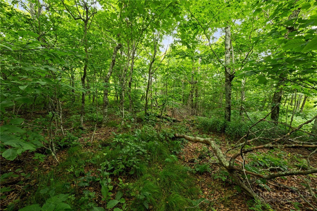 Lot 96 Cloud Spring Drive Property Photo 8