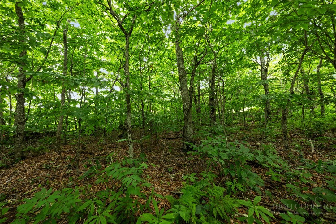 Lot 96 Cloud Spring Drive Property Photo 9