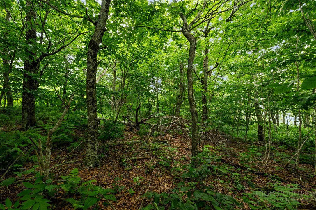 Lot 96 Cloud Spring Drive Property Photo 10