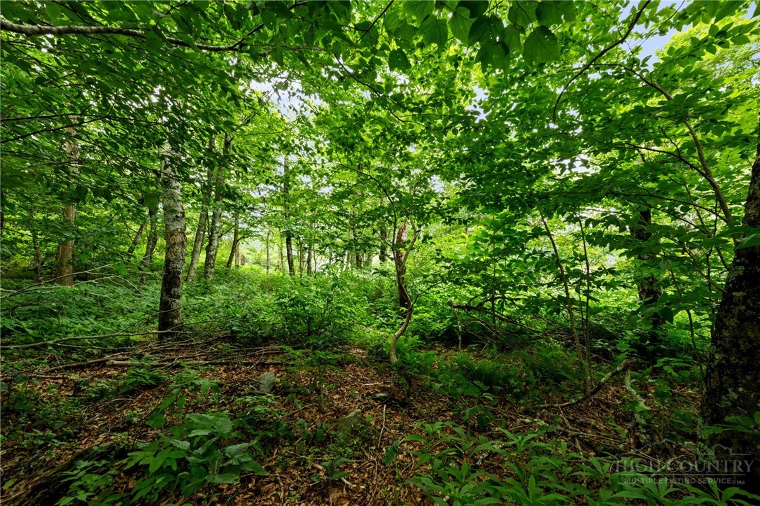 Lot 96 Cloud Spring Drive Property Photo 11