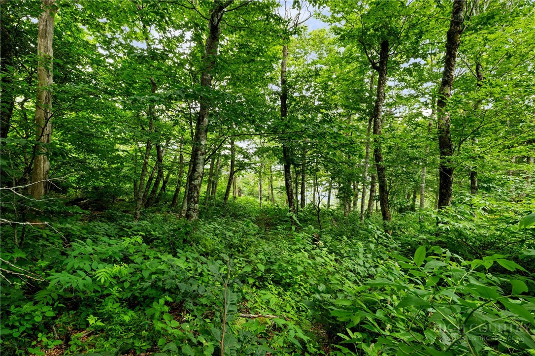 Lot 96 Cloud Spring Drive Property Photo 12