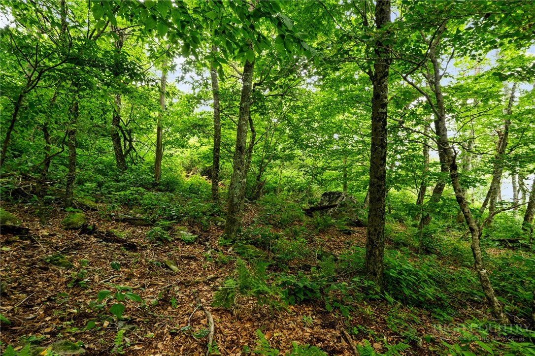 Lot 96 Cloud Spring Drive Property Photo 13