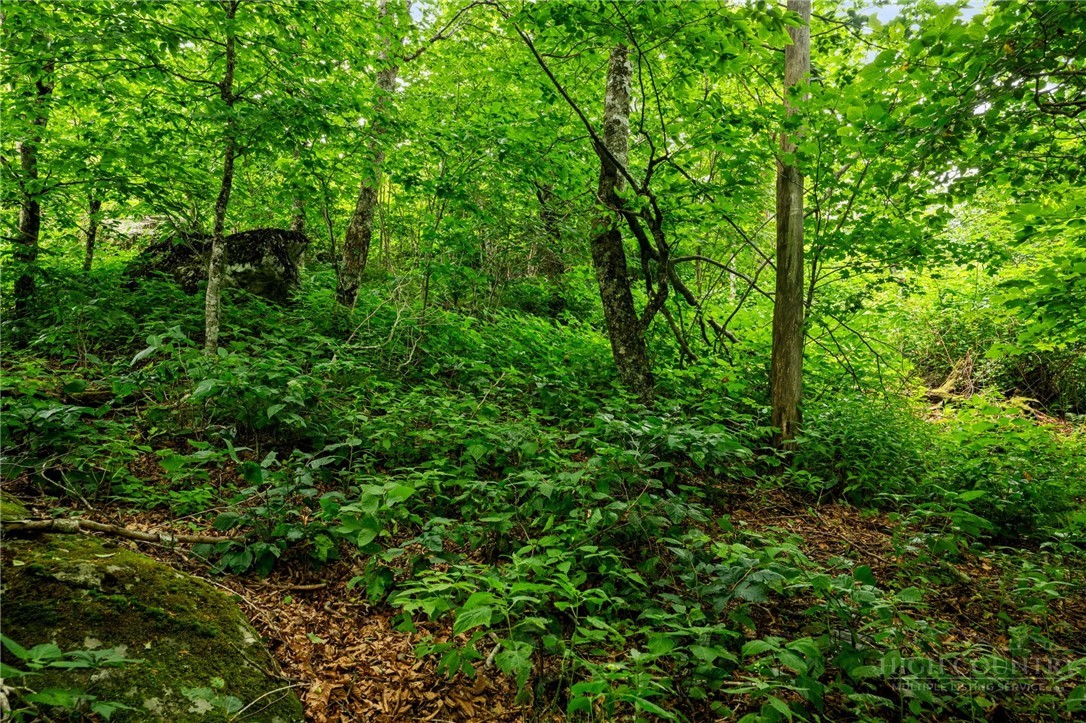 Lot 96 Cloud Spring Drive Property Photo 14