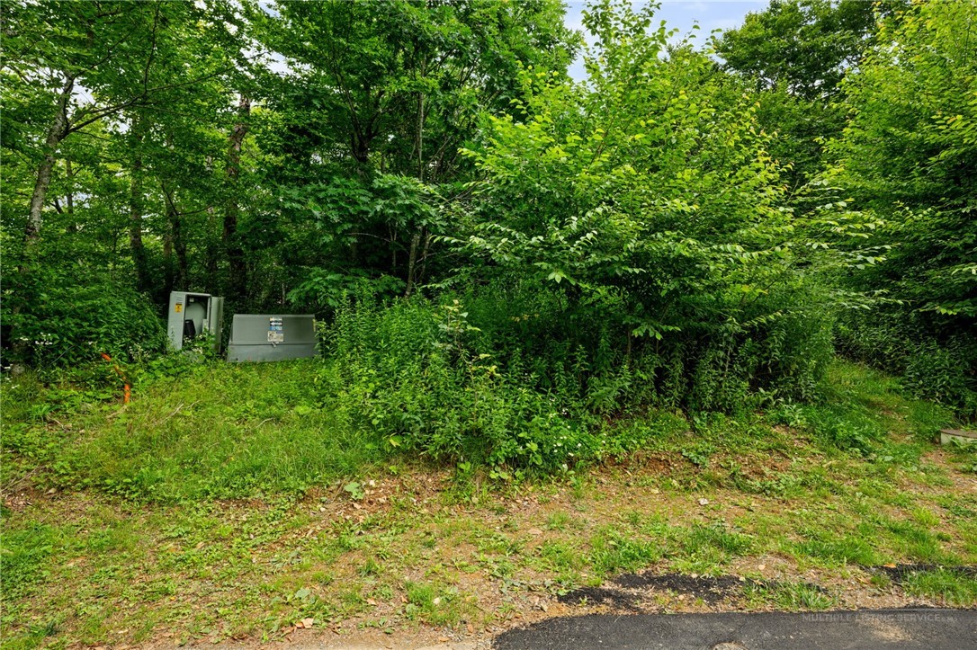 Lot 96 Cloud Spring Drive Property Photo 15