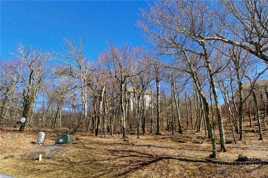 Lot 96 Cloud Spring Drive Property Photo 17