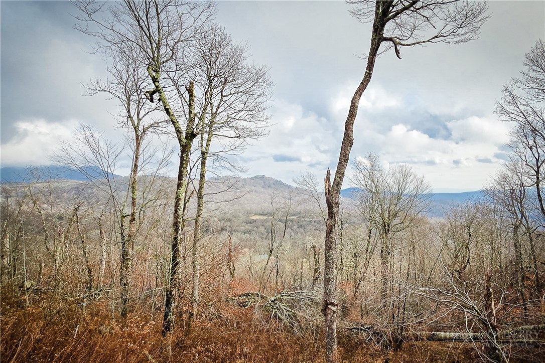 Lot 96 Cloud Spring Drive Property Photo 18
